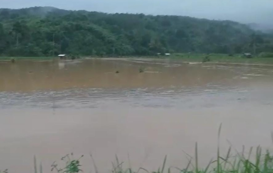 Akibat Curah Hujan Tinggi Puluhan Sawah Terendam Banjir dan Dua Titik Diterpa Longsor