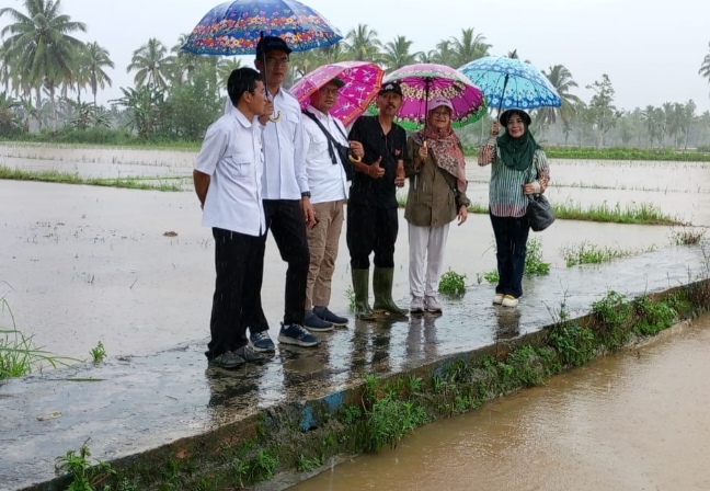 Kementan Dukung Program Bupati Lebong Tingkatkan Indeks Pertanaman